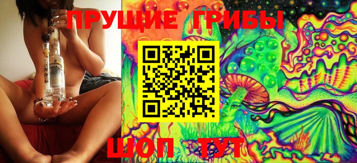 продажа наркотиков  Псилоцибиновые грибы GOLDEN TEACHER  Вход с VPN  Острогожск 