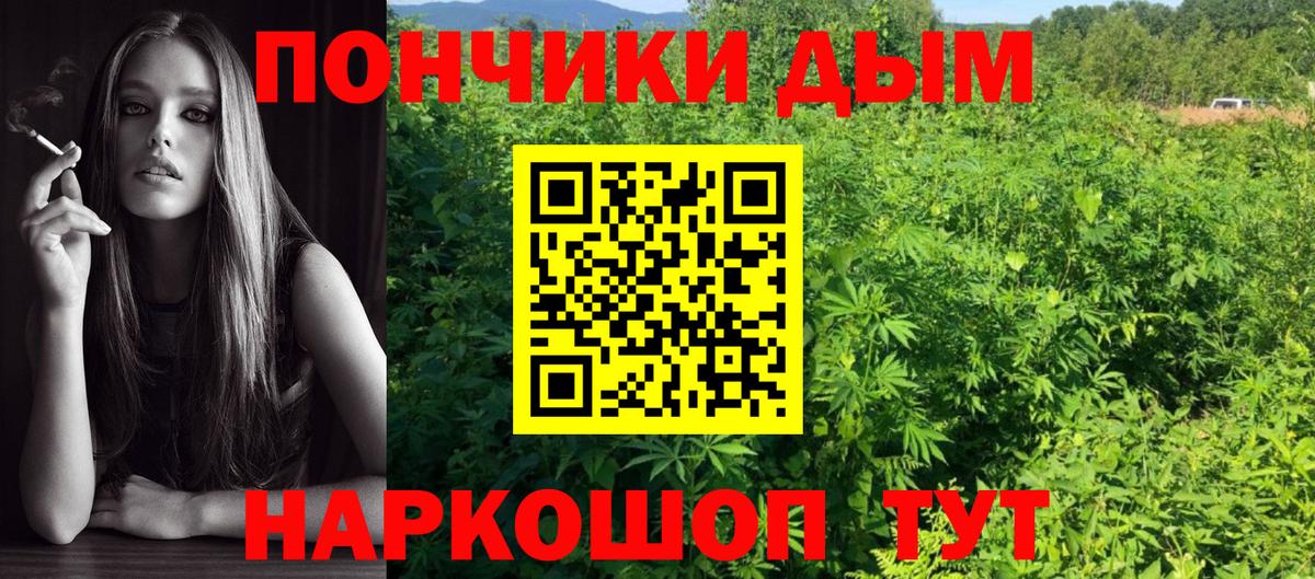 Острогожск  Каннабис Bruce Banner  Вход с VPN  Шишки марихуана планчик  Бошки марихуана индика 